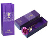 24K Folie Plattiert Gold Rose-Bella Webshop