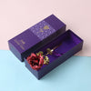 24K Folie Plattiert Gold Rose-Bella Webshop