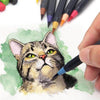 Aquarell-Pinselstifte (20-Teiliges Set)-Bella Webshop